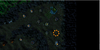 The Mender's Stead.png The Mender's Stead.png