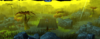 PlanetWIP2.PNG