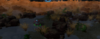 PlanetWIP8.PNG