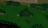 Forest Area.PNG