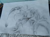 DSCN1640.jpg