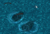 HelpII.png
