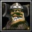BrownRaider.JPG