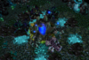 Red Creep Camp Medium.png