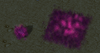 12312123213.png