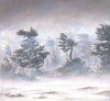 blizzard.gif