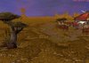 Barrens2.jpg