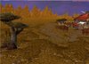 Barrens3.jpg