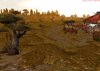 Barrens4.jpg