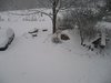 SnowFTW.JPG
