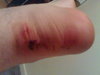 08122007025.jpg