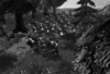 61263.png