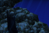67610.png