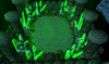 70360.png