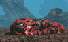 101573.png