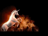 ezgif-4153237754.gif
