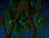 Ashenvale Terrain.jpg