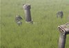 Plains of the Heaven - I.JPG