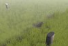 Plains of the Heaven - III.JPG