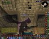 Server-9.jpg