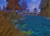 Forest_1.jpg