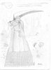 Kurosaki2.jpg