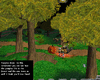 02_PumpkinMode_ForestView copy.GIF