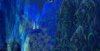 WC3ScrnShot_011308_122831_01.jpg