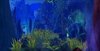 WC3ScrnShot_011308_122848_02.jpg