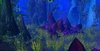 WC3ScrnShot_011308_122934_05.jpg