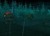 dark woods.jpg