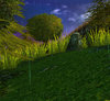 Screenshot 7.jpg