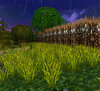 Screenshot 9.jpg