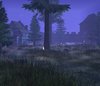 terrain4.jpg