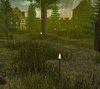 terrain6.jpg