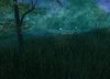 terrain8.jpg