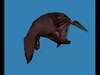 Untitled.gif