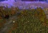 Terrain screen 2.jpg