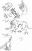 Sketch2.jpg