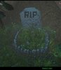 RIP-Grave.jpg