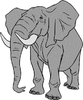 elephant.gif