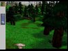 StrollintheWoods.jpg