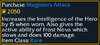 Magisters Attack.jpg