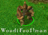 Front.gif