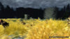 elder_scrolls_oblivion_trailer_screenshot_0040.jpg