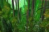Bamboo Forest Final.jpg
