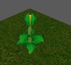 smallplant.JPG