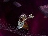 UndeadGuitarPlayerEOTC70.jpg