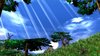 Daylight in the forest.jpg