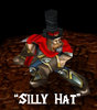 SillyHat.jpg